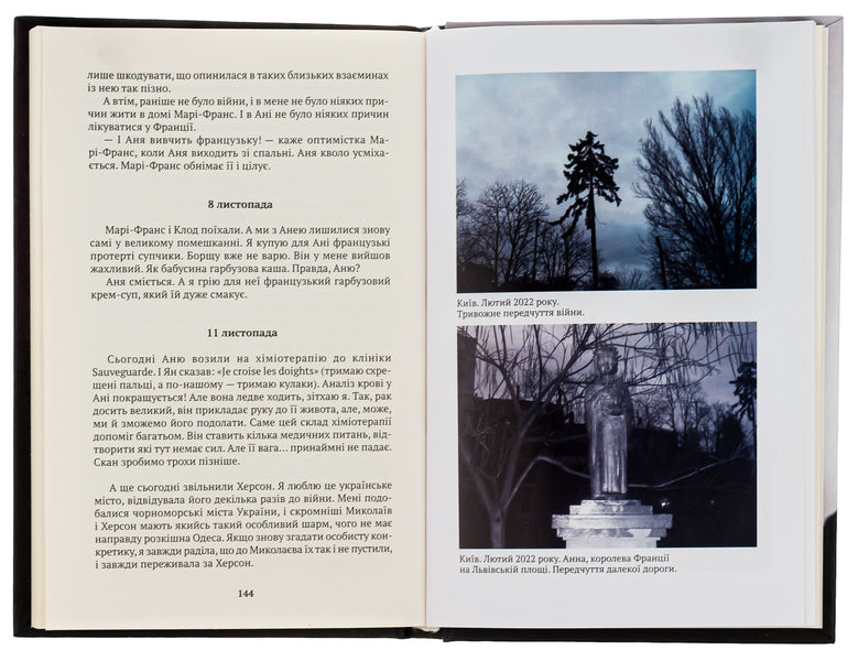 That crazy year / Той божевільний рік Евгения Кононенко 9786175530320-5