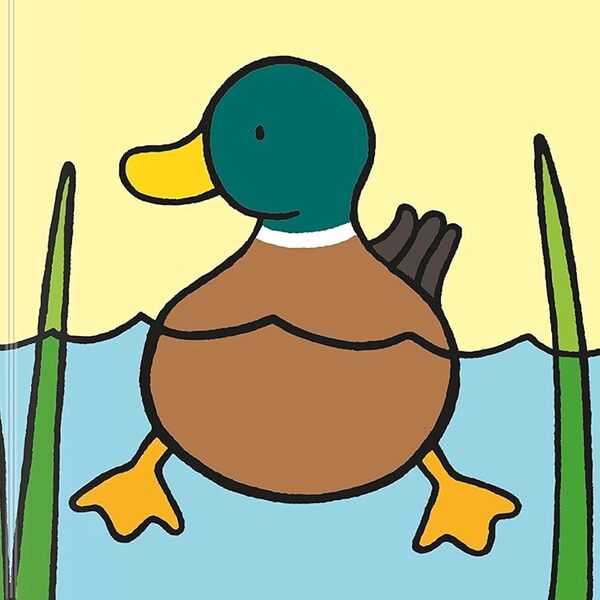 That's not my duck... / That's not my duck... Фиона Уотт 978-1-4095-6516-1-4