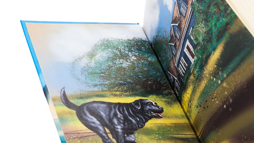 The Adventures of Mr. Cross. An incredible journey of a traveling dog / Пригоди містера Кроса. Неймовірна подорож собаки-мандрівника Лео Сульман 978-617-8229-85-6-4
