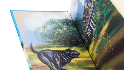 The Adventures of Mr. Cross. An incredible journey of a traveling dog / Пригоди містера Кроса. Неймовірна подорож собаки-мандрівника Лео Сульман 978-617-8229-85-6-4
