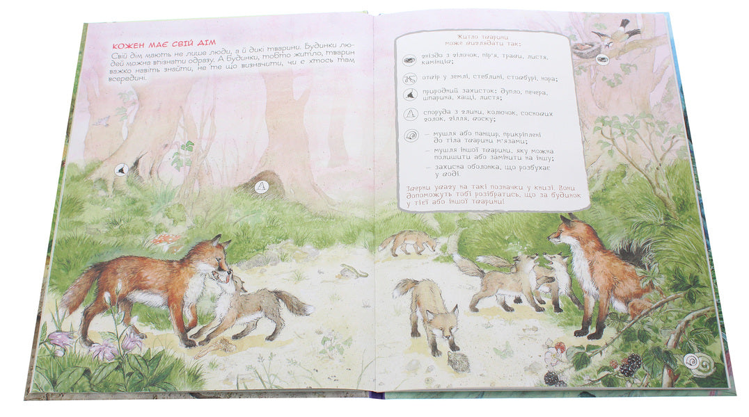 The Amazing World Of Animals. Who Lives Where? / Дивовижний світ тварин. Хто де живе? / Author not specified 9789669850560-4