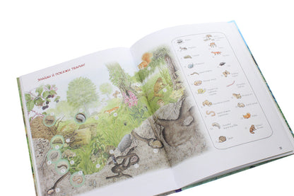 The Amazing World Of Animals. Who Lives Where? / Дивовижний світ тварин. Хто де живе? / Author not specified 9789669850560-5