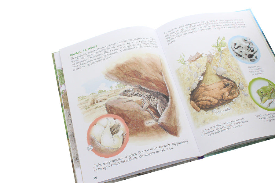 The Amazing World Of Animals. Who Lives Where? / Дивовижний світ тварин. Хто де живе? / Author not specified 9789669850560-6