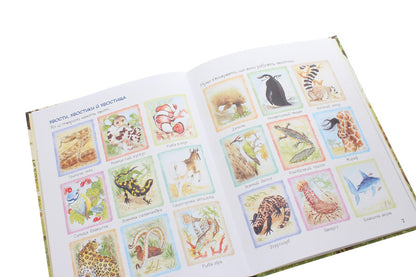 The Amazing World Of Animals. Why Do Animals Have Tails? / Дивовижний світ тварин. Навіщо тваринам хвіст? Renne / Ренне 9789669850577-5