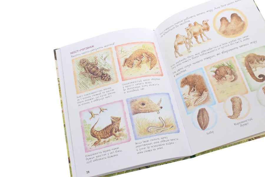 The Amazing World Of Animals. Why Do Animals Have Tails? / Дивовижний світ тварин. Навіщо тваринам хвіст? Renne / Ренне 9789669850577-6