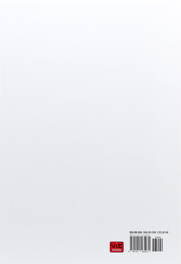 The Art Of Princess Mononoke Hayao Miyazaki / Хаяо Миядзаки 9781421565972-3