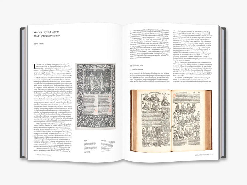 The Art Of The Illustrated Book Julius Bryant / Джулиус Браянт 9780500480694-3