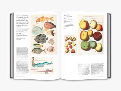 The Art Of The Illustrated Book Julius Bryant / Джулиус Браянт 9780500480694-4