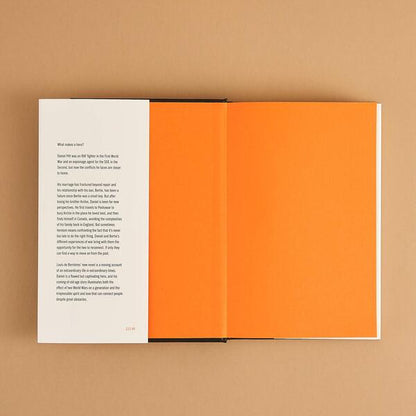 The Autumn of the Ace / The Autumn of the Ace Луи де Берньер 978-1-787-30133-7-6