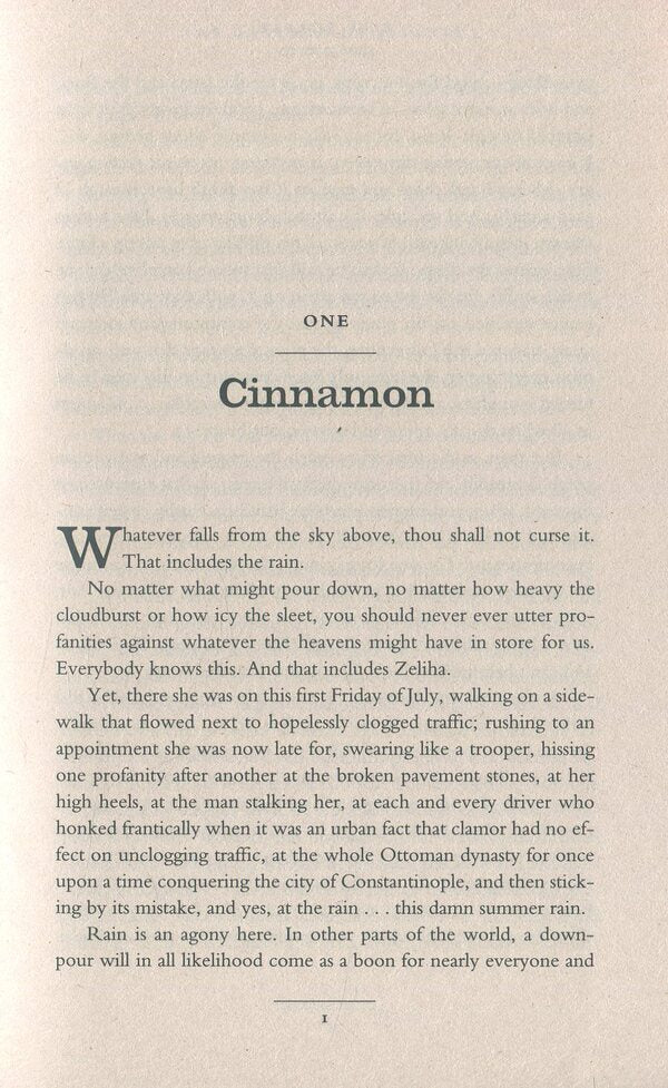 The Bastard of Istanbul / The Bastard of Istanbul Элиф Шафак 9780241972908-3