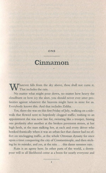 The Bastard of Istanbul / The Bastard of Istanbul Элиф Шафак 9780241972908-3