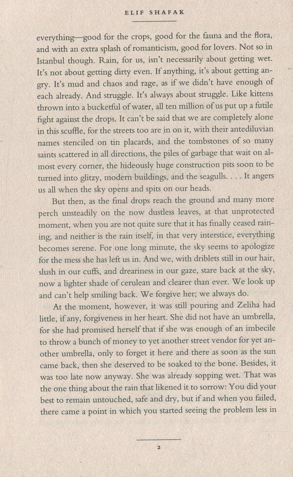 The Bastard of Istanbul / The Bastard of Istanbul Элиф Шафак 9780241972908-4