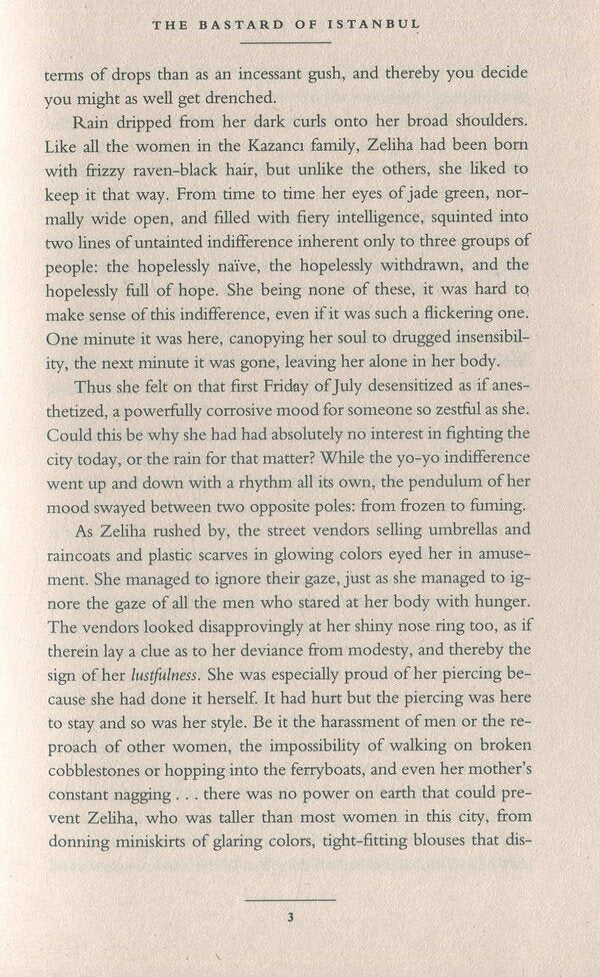 The Bastard of Istanbul / The Bastard of Istanbul Элиф Шафак 9780241972908-5