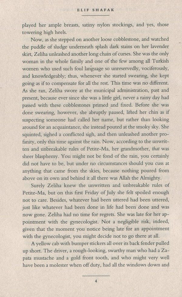 The Bastard of Istanbul / The Bastard of Istanbul Элиф Шафак 9780241972908-6