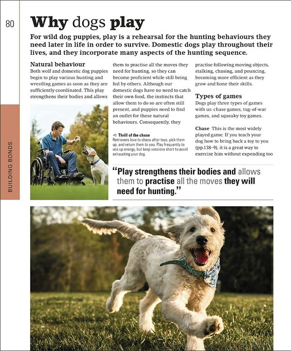 The Beginner's Dog Training Guide / The Beginner's Dog Training Guide Гвен Бейли 978-0-2415-7117-0-3