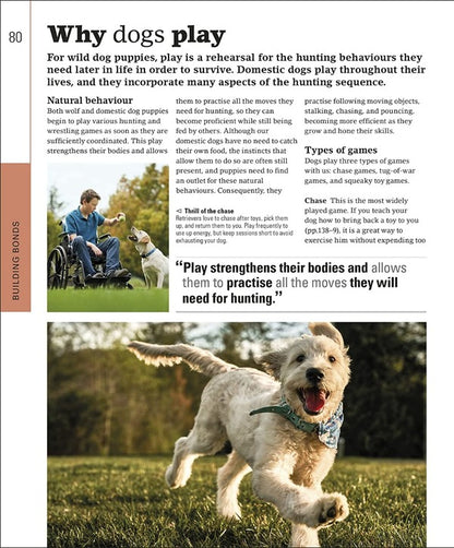 The Beginner's Dog Training Guide / The Beginner's Dog Training Guide Гвен Бейли 978-0-2415-7117-0-3