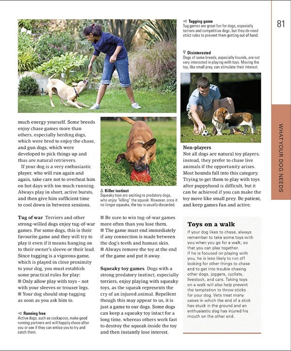 The Beginner's Dog Training Guide / The Beginner's Dog Training Guide Гвен Бейли 978-0-2415-7117-0-4