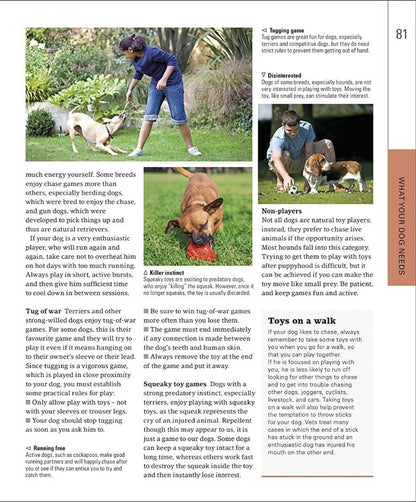 The Beginner's Dog Training Guide / The Beginner's Dog Training Guide Гвен Бейли 978-0-2415-7117-0-4