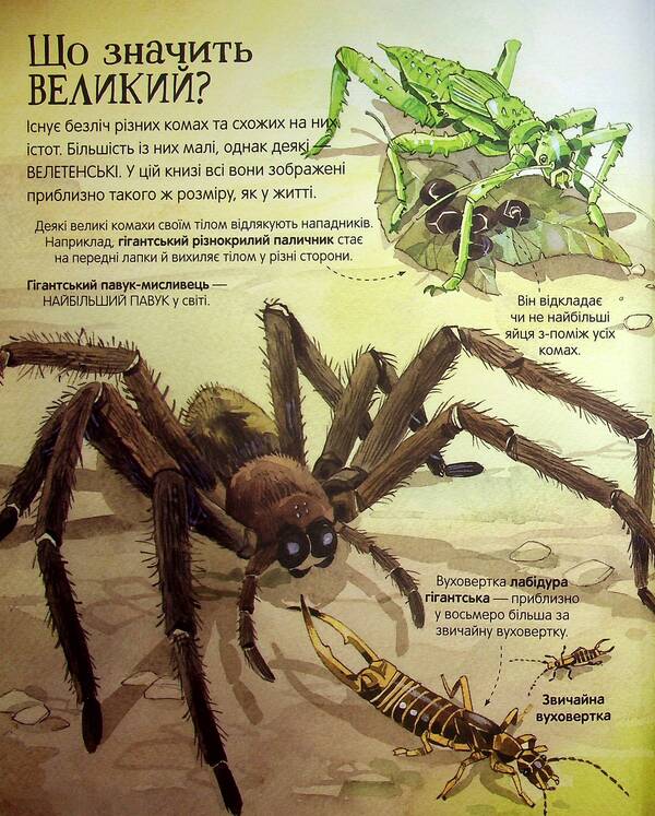 The Big Book Of Insects / Велика книга комах Emily Bone / Емілі Боун 9786177940349-4