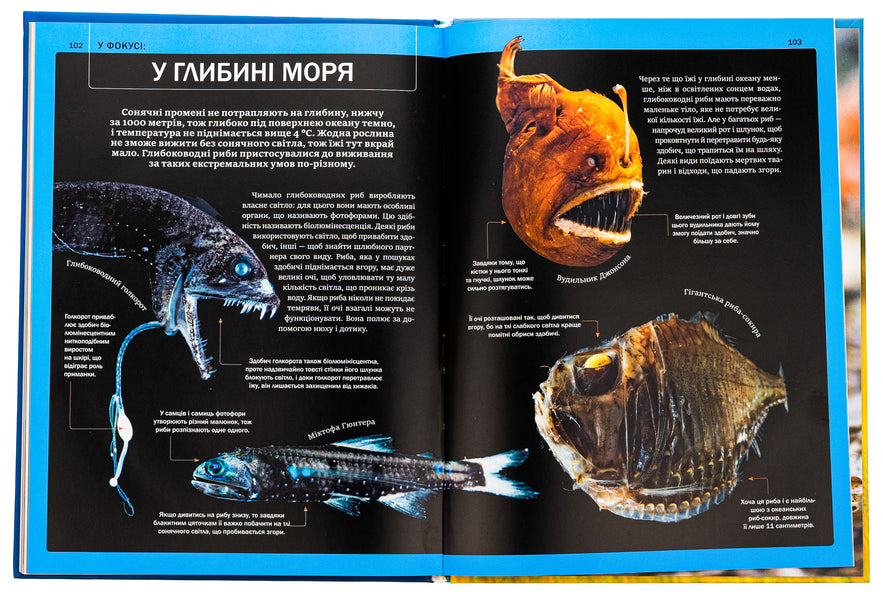 The Big Book of Animals / Велика книга тварин Клаудия Мартин 978-617-17-0479-4-5