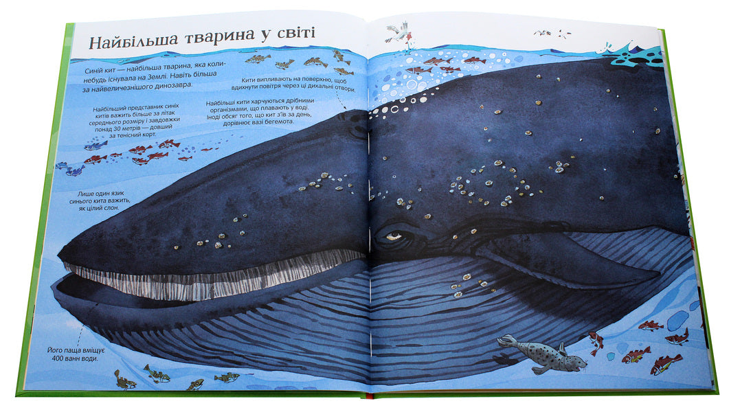The Big Book of Animals / Велика книга тварин Гейзел Маскелл 978-617-7940-32-5-5