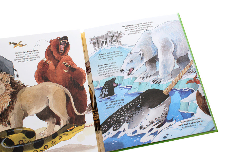 The Big Book of Animals / Велика книга тварин Гейзел Маскелл 978-617-7940-32-5-6