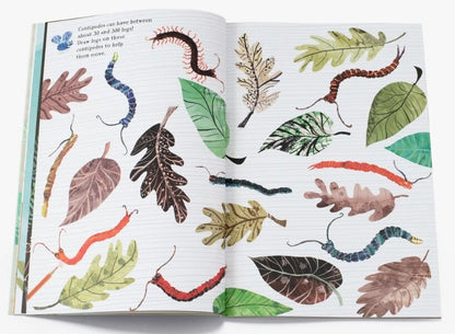 The Big Sticker Book of Bugs / The Big Sticker Book of Bugs Юваль Зоммер 9780500651346-2