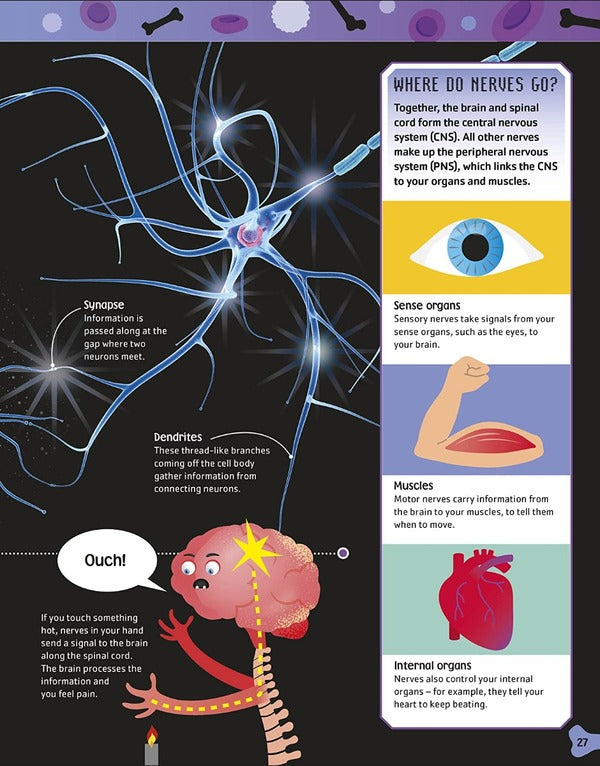 The Body Book / The Body Book Бипаша Чоудхури 9780241526552-5