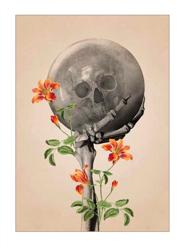 The Book of Sessions. A Guide to Divination and Speaking to Spirits / The Book of Séances. A Guide to Divination and Speaking to Spirits Клэр Гудчайлд 9780316353342-4