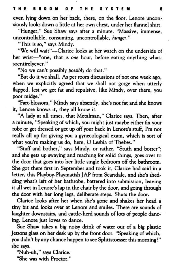 The Broom Of The System / The Broom Of The System Дэвид Фостер Уоллес 9780349109237-5