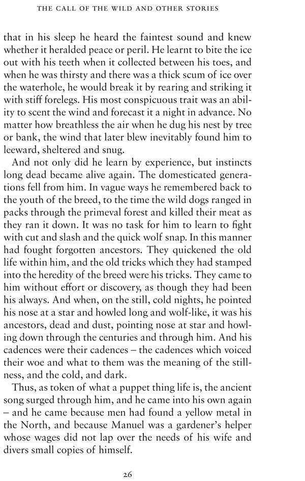 The Call of the Wild and Other Stories: Illustrated by Ian Beck - Also included: Brown Wolf, That Spot and To Build a Fire / The Call of the Wild and Other Stories: Illustrated by Ian Beck - Also included: Brown Wolf, That Spot and To Build a Fire Джек Лондон 9781847498441-5