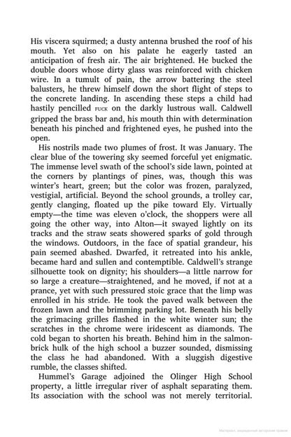 The Centaur John Appadike / Джон Апдайк 9780141189048-5