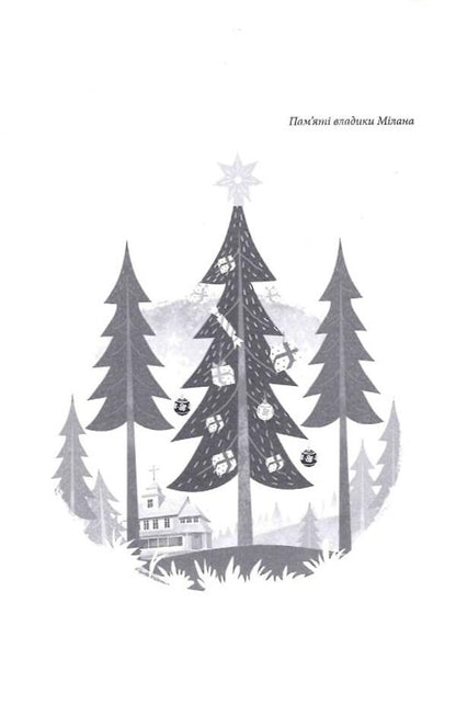 The Christmas story of the donkey Tails / Різдвяна історія ослика Хвостика Александр Гаврош 978-617-585-240-8-4