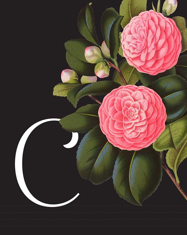 The Complete Language of Flowers / The Complete Language of Flowers С. Тереза Дитц 9781577151906-4