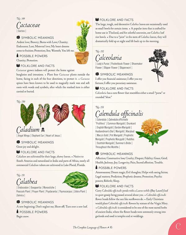 The Complete Language of Flowers / The Complete Language of Flowers С. Тереза Дитц 9781577151906-5