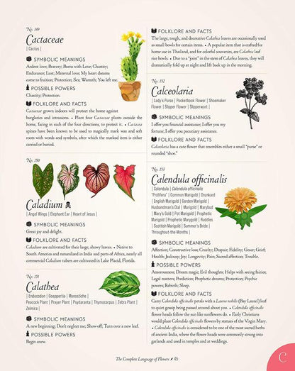 The Complete Language of Flowers / The Complete Language of Flowers С. Тереза Дитц 9781577151906-5