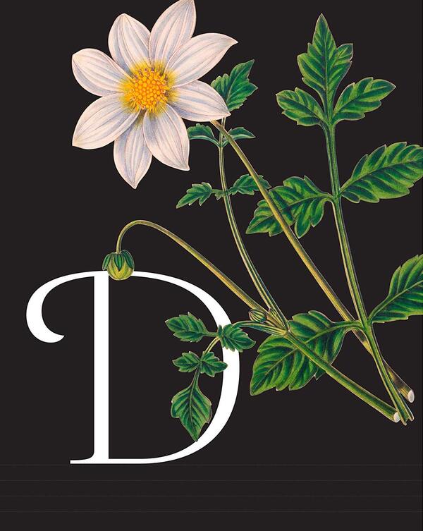 The Complete Language of Flowers / The Complete Language of Flowers С. Тереза Дитц 9781577151906-6