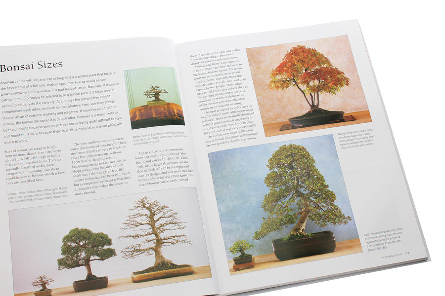 The Complete Practical Book Of Bonsai Ken Norman / Кен Норман 9780754834854-6