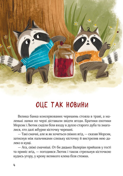 The Crazy Summer Raccoon-Bins. Traveling To Bashtanova Valley / Шалене літо єнотів-бешкетників. Подорож до Баштанової долини Yulia Olefir / Юлія Олегефір 9786176147244-3