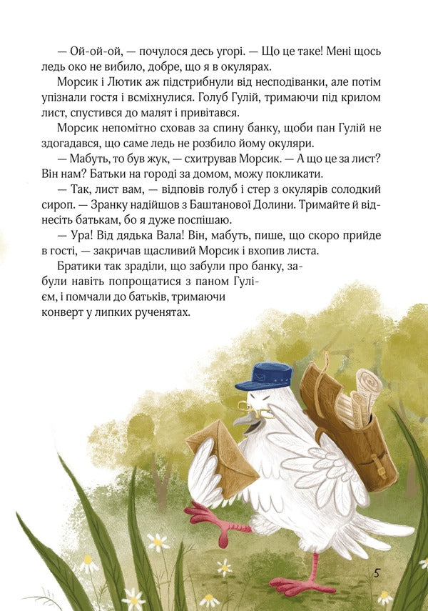 The Crazy Summer Raccoon-Bins. Traveling To Bashtanova Valley / Шалене літо єнотів-бешкетників. Подорож до Баштанової долини Yulia Olefir / Юлія Олегефір 9786176147244-4