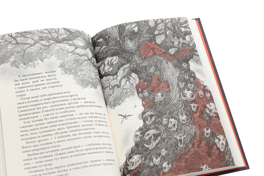 The Cursed Sword, Or The Voice of Blood / Заклятий Меч, Або Голос Крові Владимир Аренев 978-617-585-202-6-6