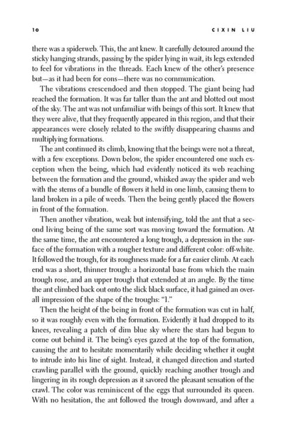 The Dark Forest Liu Tsysin / Лю Цысинь 9781784971618-6