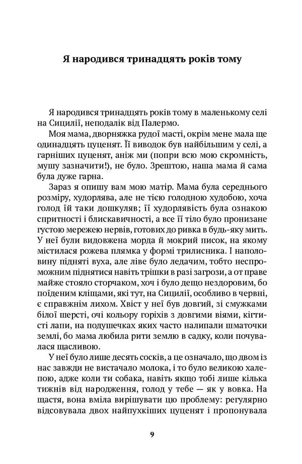 The Dog Fake / Собака Фальконе Dario Levantino / Даріо Левантіно 9786175530849-6