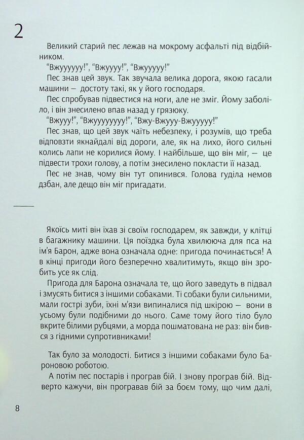 The Dot And The Patch / Крапочка і Латочка Nastya Melnichenko / Настя Мельниченко 9789664212950-5