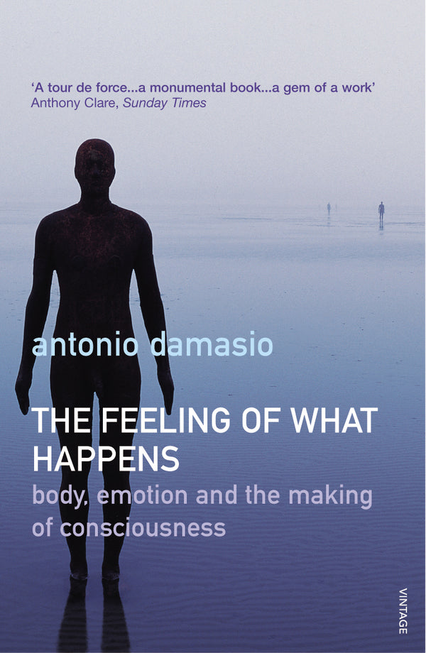 The Feeling Of What Happens Antonio Damasio / Антонио Дамасио 9780099288763-1