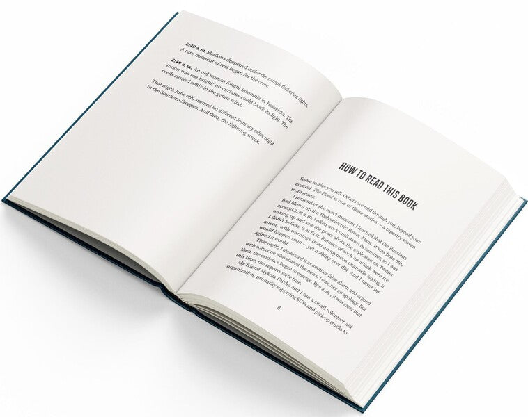 The Flood Evgeny Lear / Евгений Лир 9786178216160-4