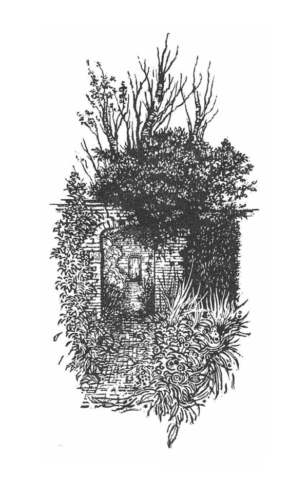 The Garden Against Time Olivia Lang / Оливия Лэнг 9781529066708-3