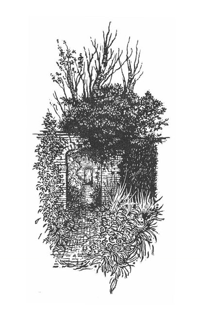 The Garden Against Time Olivia Lang / Оливия Лэнг 9781529066708-3