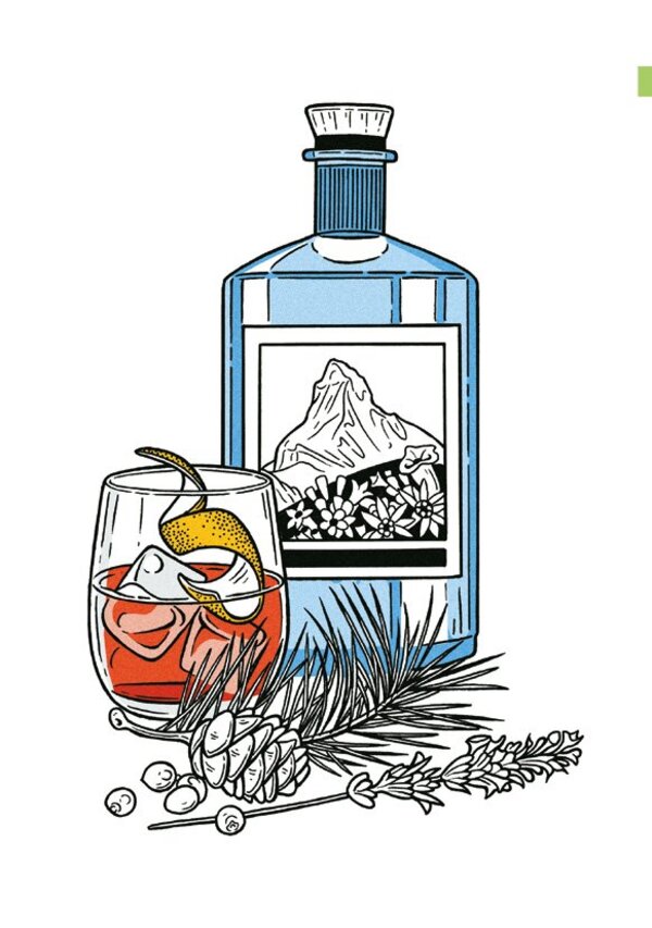 The Gin Dictionary / The Gin Dictionary Дэвид Т. Смит 9781784723989-3