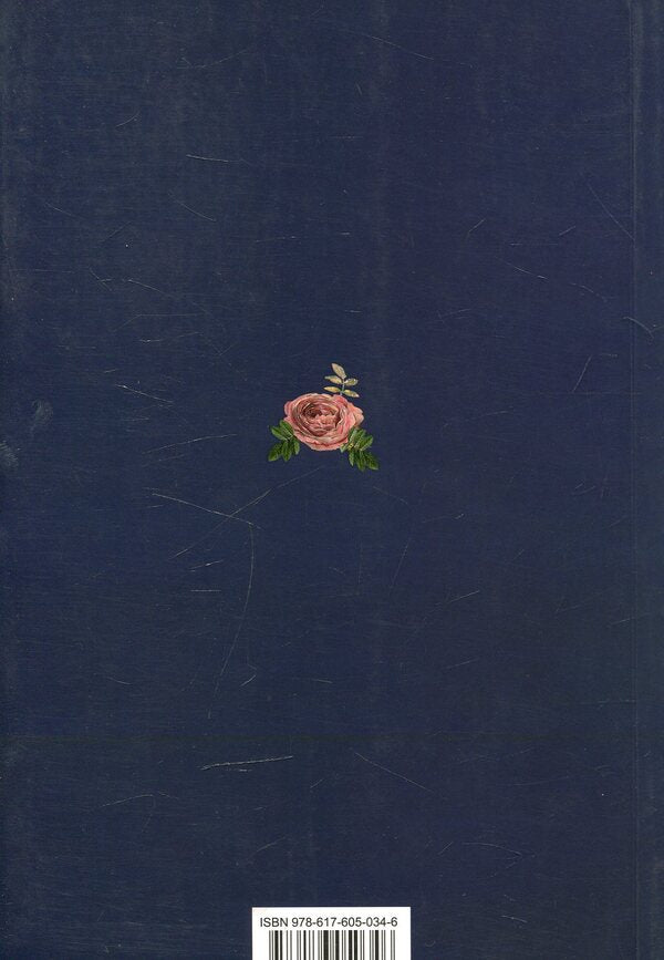 The Girl And The Aliens: A Story, A Novel And Short Stories / Дівчинка і косміти: повість, роман і новели Anna German / Ганна Герман 9786176050346-2